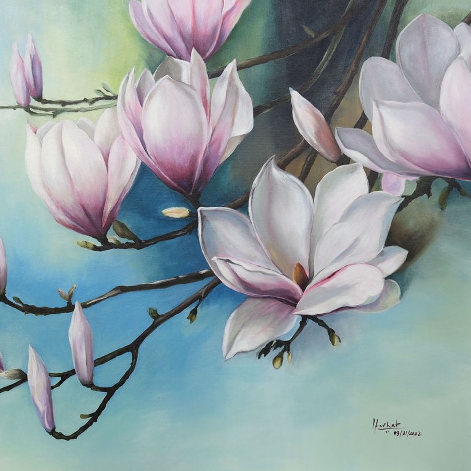 Magnolia